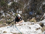 /Rocher/2007/Images/484/mini-Photo FRe 204Icon.jpg
